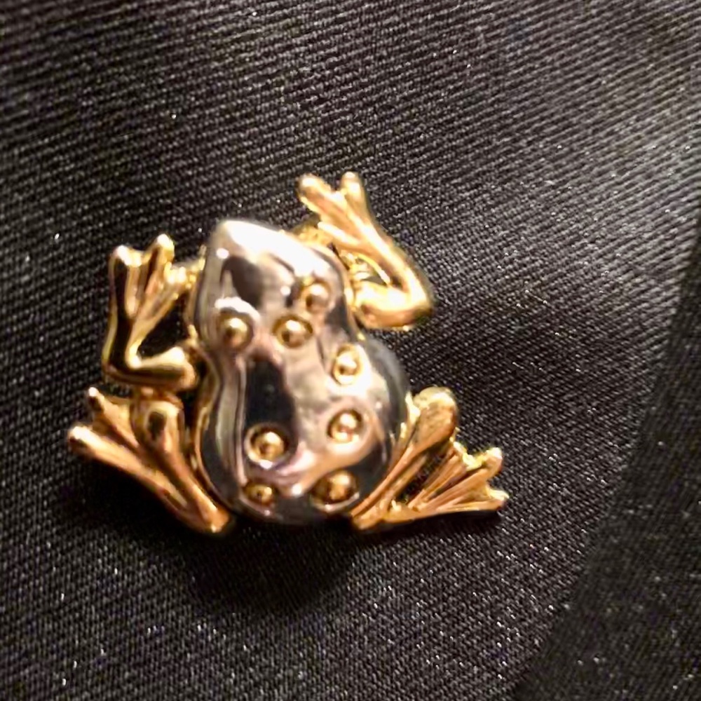 Pappagallo frog brooch